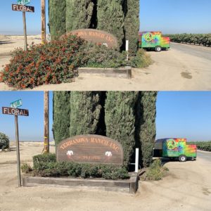 66652540_161692671619955_1997208166525537726_n